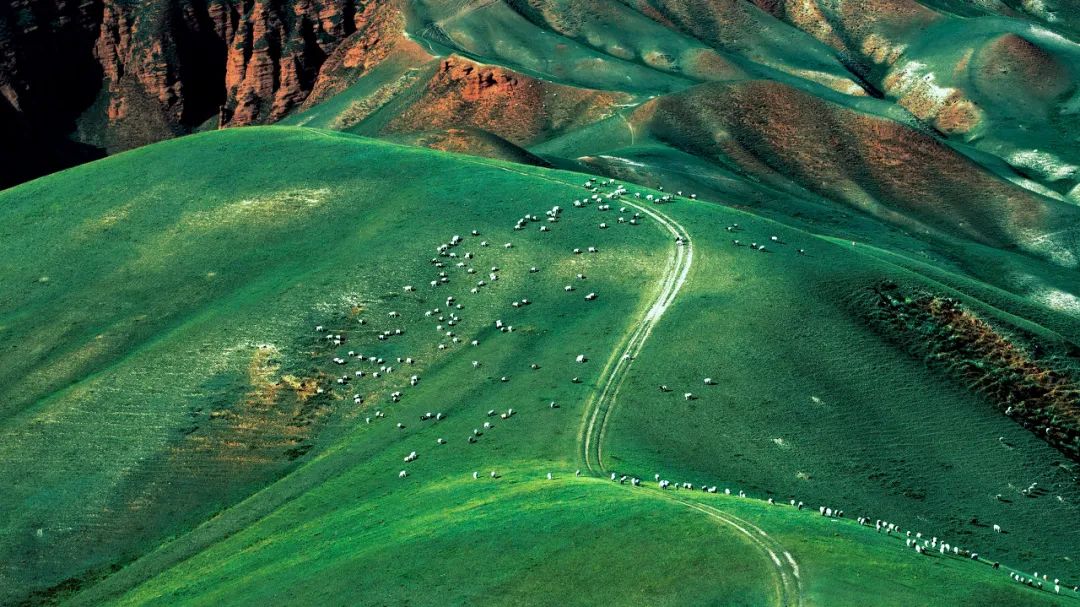 祁连山的前世今生,祁连山有多重要历史地位