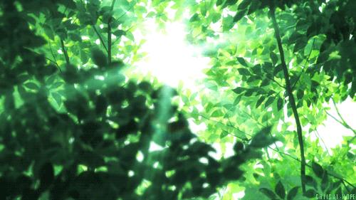 人生就是一场历练与感悟,人生就是一种感受一种历练