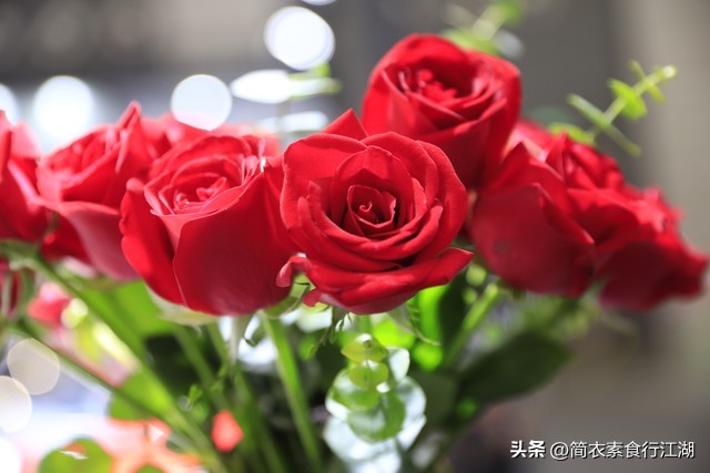 她做保姆这些年－豪门生活之利害关系（659）