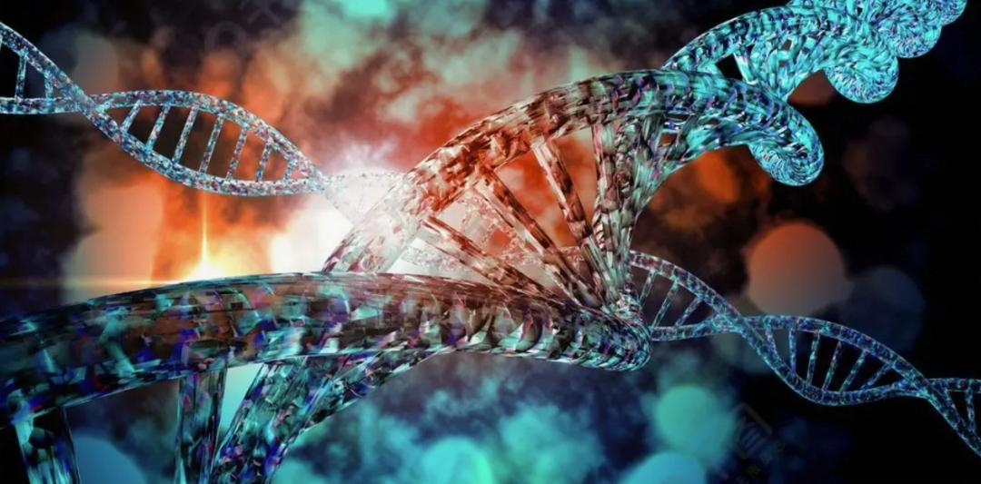 dna证据,dna证据准不准