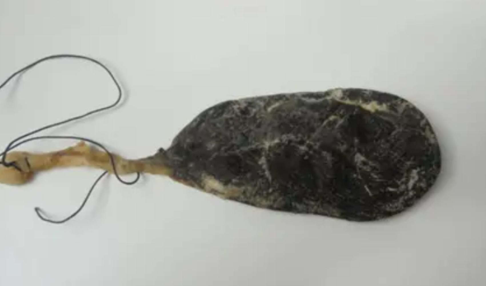 活熊采胆犯法吗,活熊取肝对熊的危害