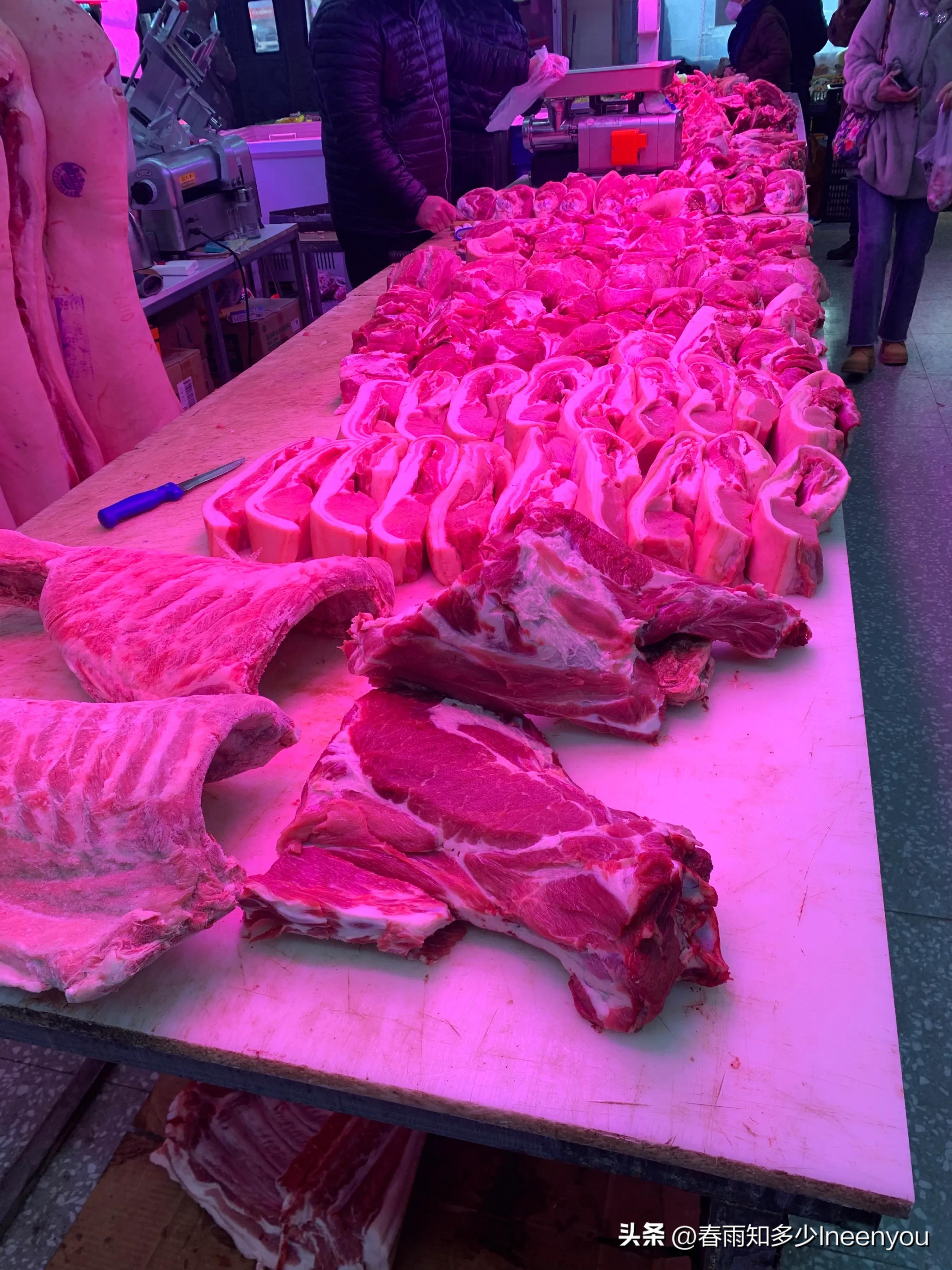 生活本就是不停的奔波,元旦将至忙忙碌碌