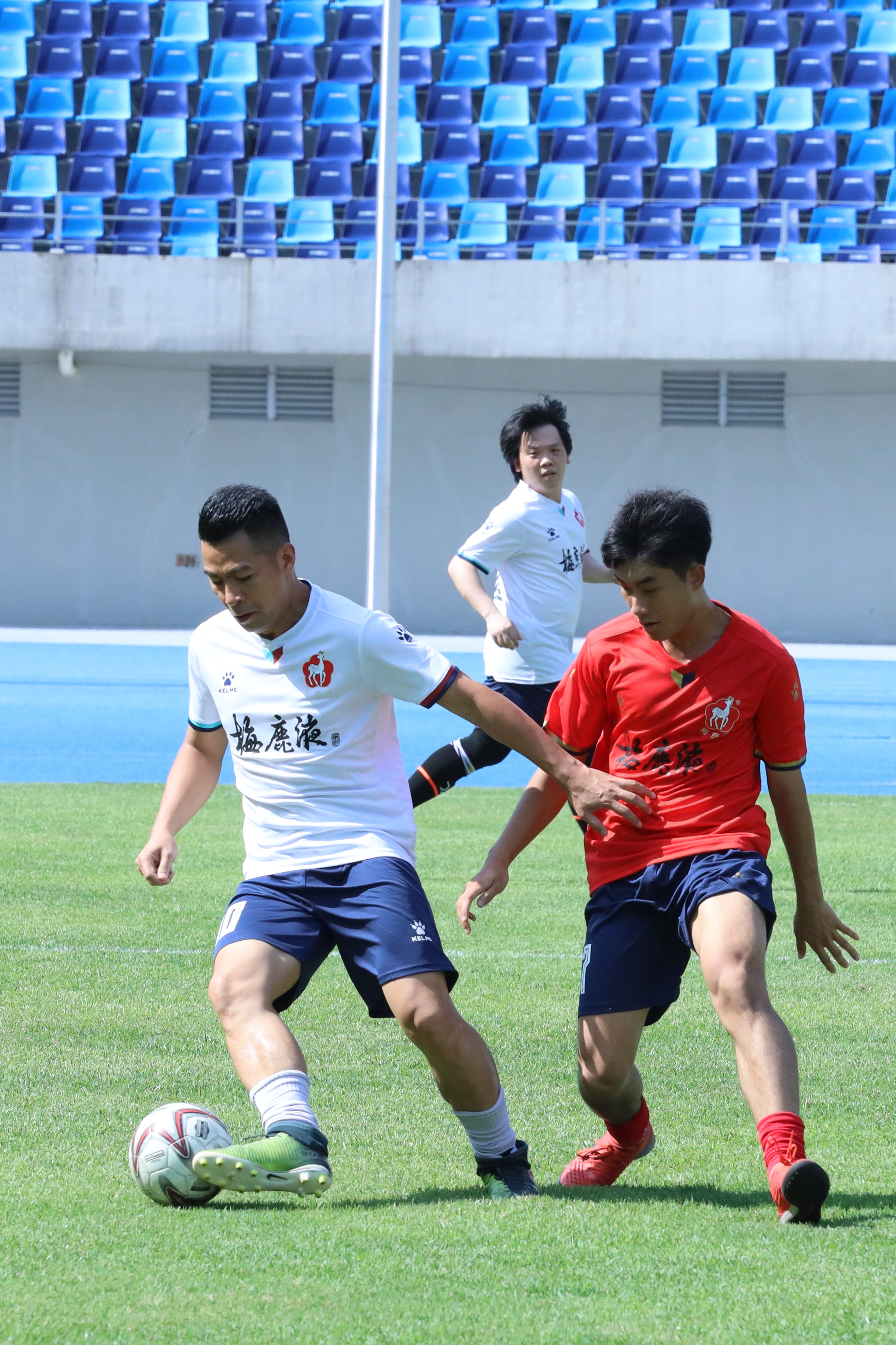 梅鹿液酒惠州专卖店,梅鹿液广州总代理