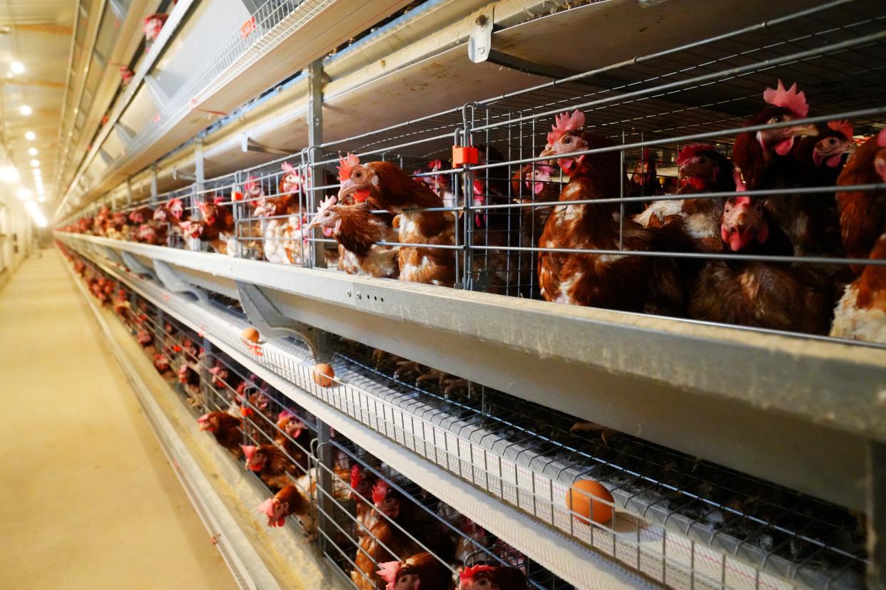 建德古村落美食有哪些特色,杭州的建德菜有什么特色