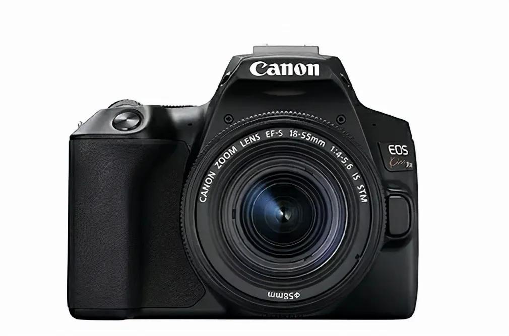 2019年单反型号销量,最新数据情报站