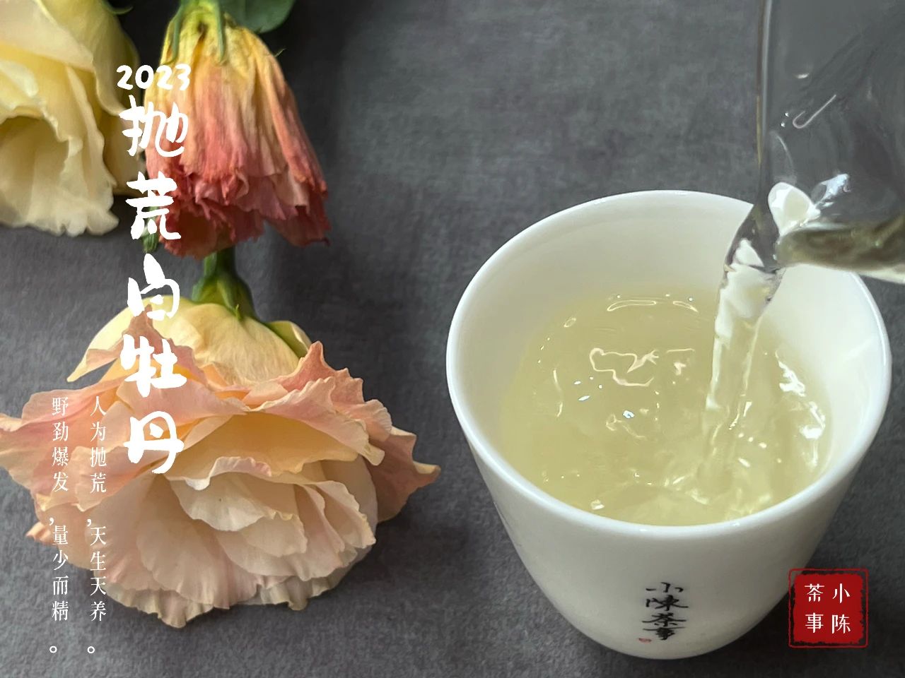 七里香夜来香,七里香丁香花