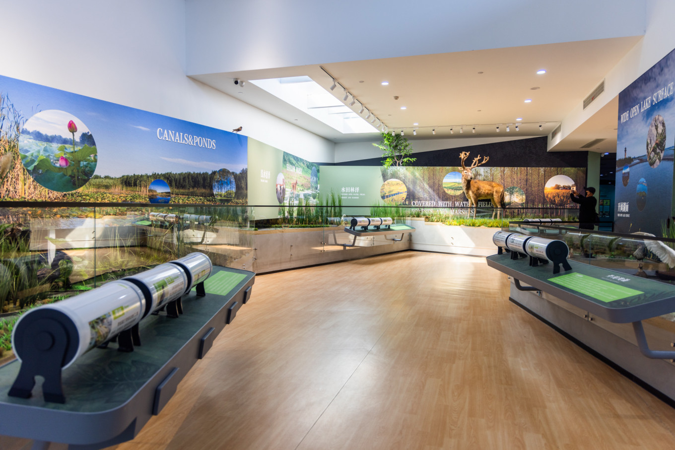 春日下江南杭州,泰州一日游攻略美食