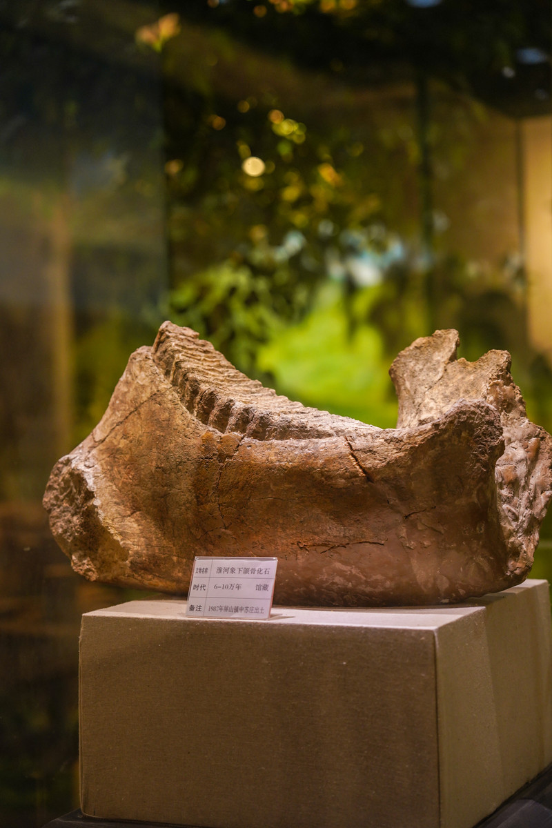 宿州景点哪里好玩一日游,宿州小众打卡