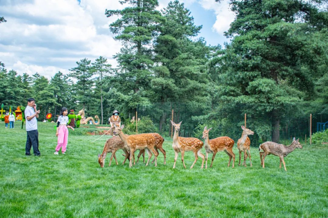 元宵节昆明哪里有灯展,昆明世博园元宵节灯会