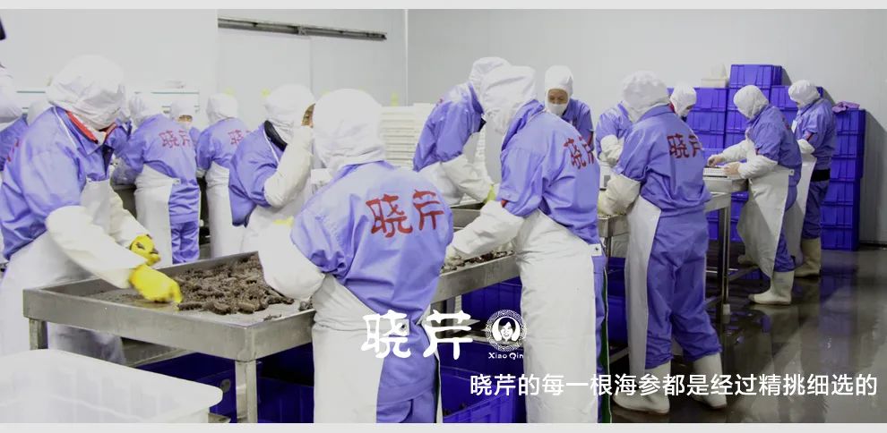 鲜海参和干海参哪个营养价值高,小孩吃干海参好还是鲜海参好