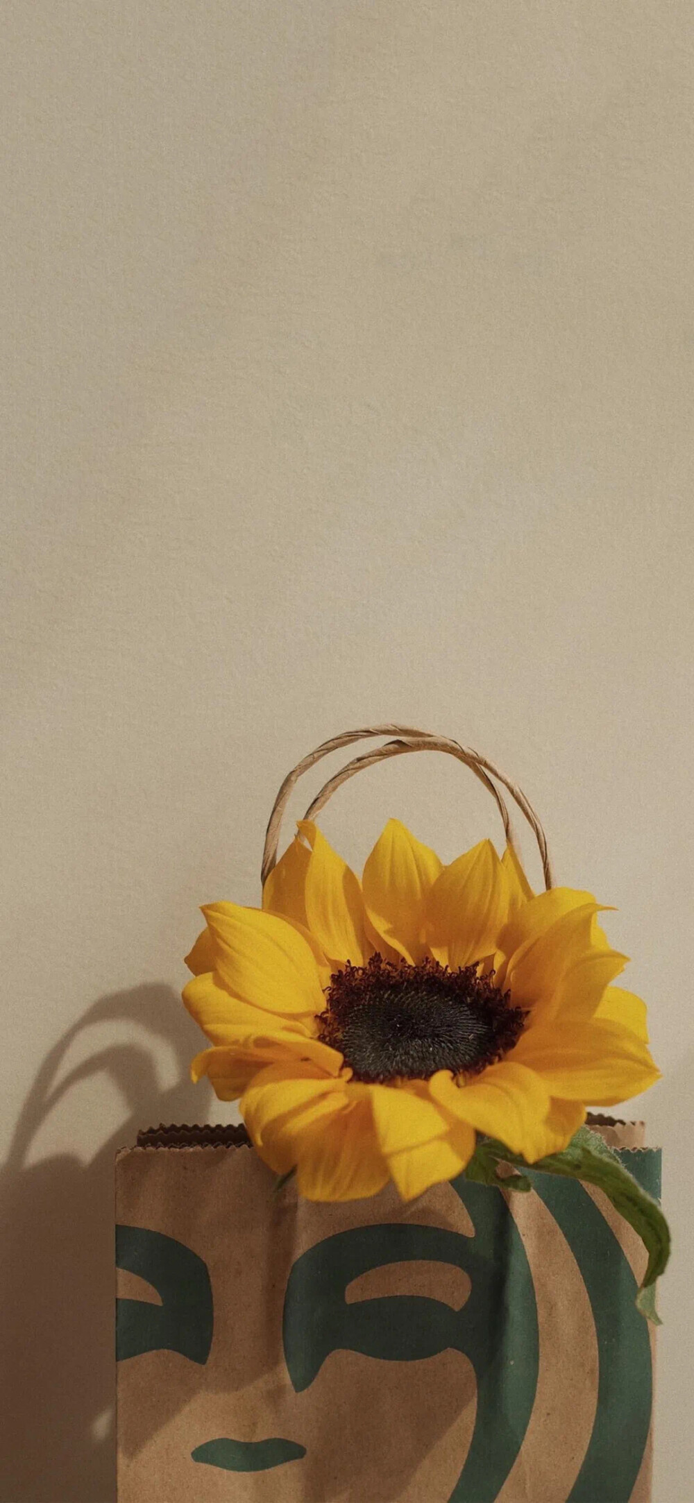 街角花店图片壁纸,花店壁纸图片大全