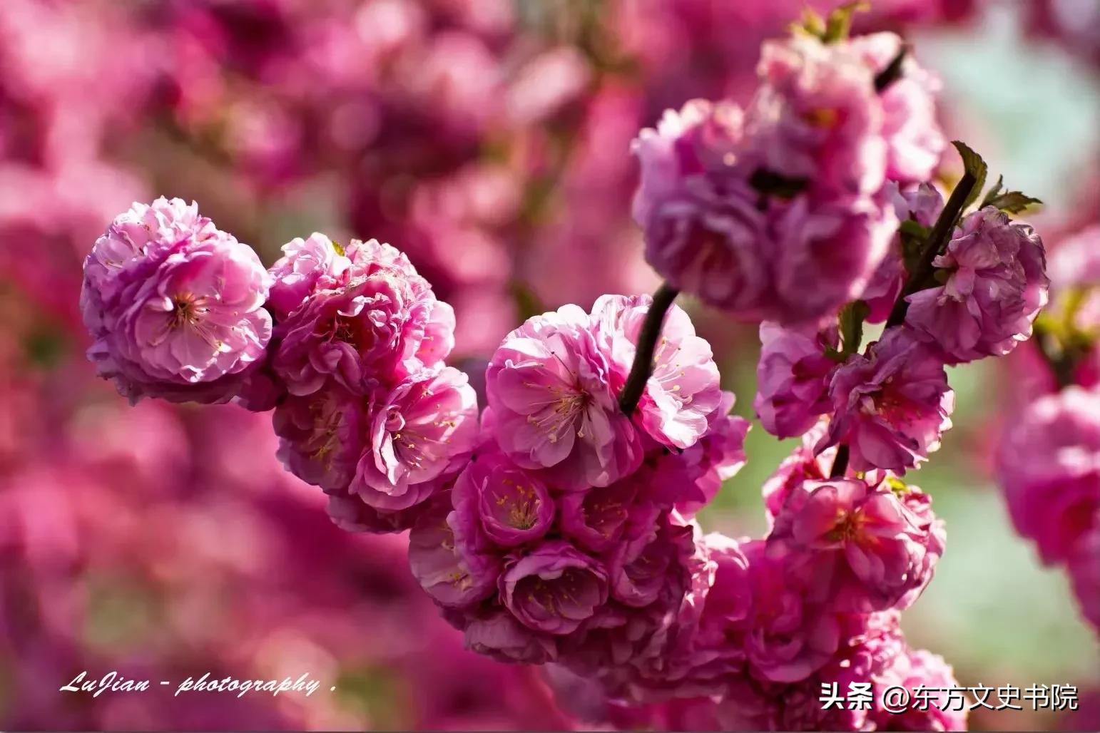 女人想要变优秀最适合看哪些书,女人想要优秀看什么书