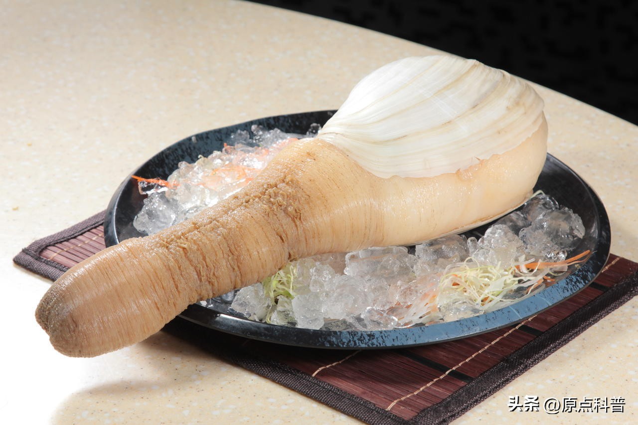 世界十大顶级海鲜排名,世界上十大最贵的十种海鲜