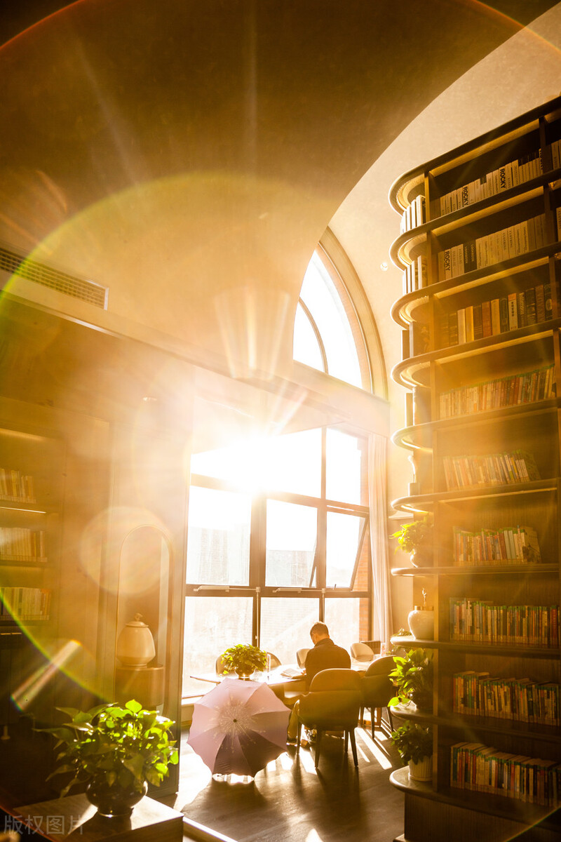 如何写作书籍,教你怎么写作的书