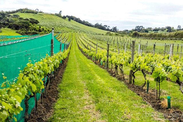 坐大巴环游中国111天,国内到新西兰游攻略