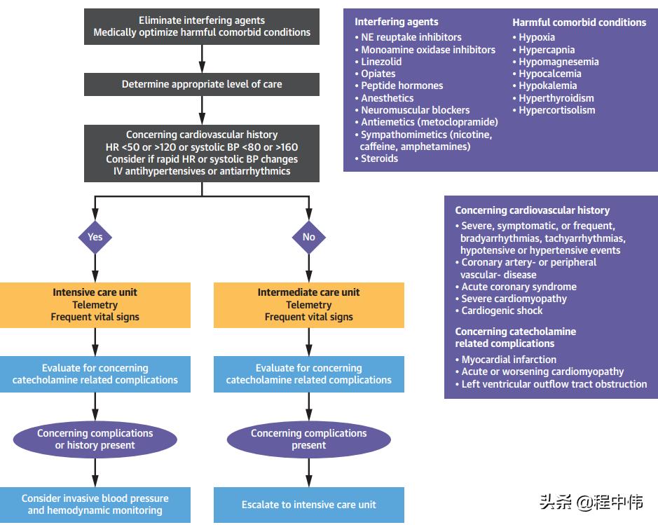 嗜铬细胞瘤出现心慌会长多大,嗜铬细胞瘤心动过速的原因