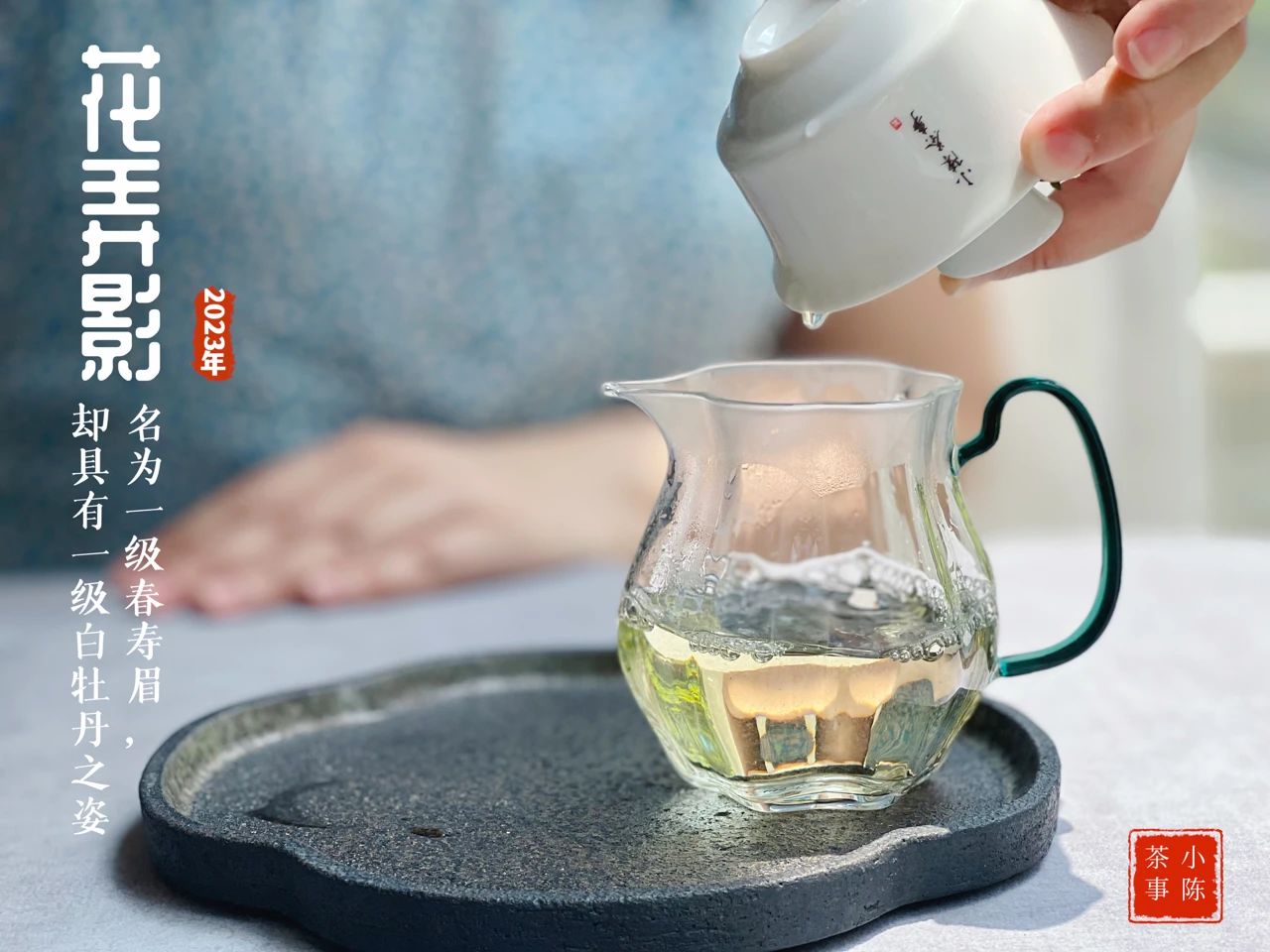 新手如何选新白茶,只需4步教你分辨白茶好坏