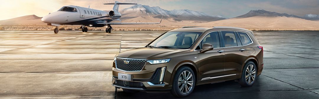 如果我变成面包狗你还会和我玩吗,妈妈如果我变成面包狗你会爱我吗