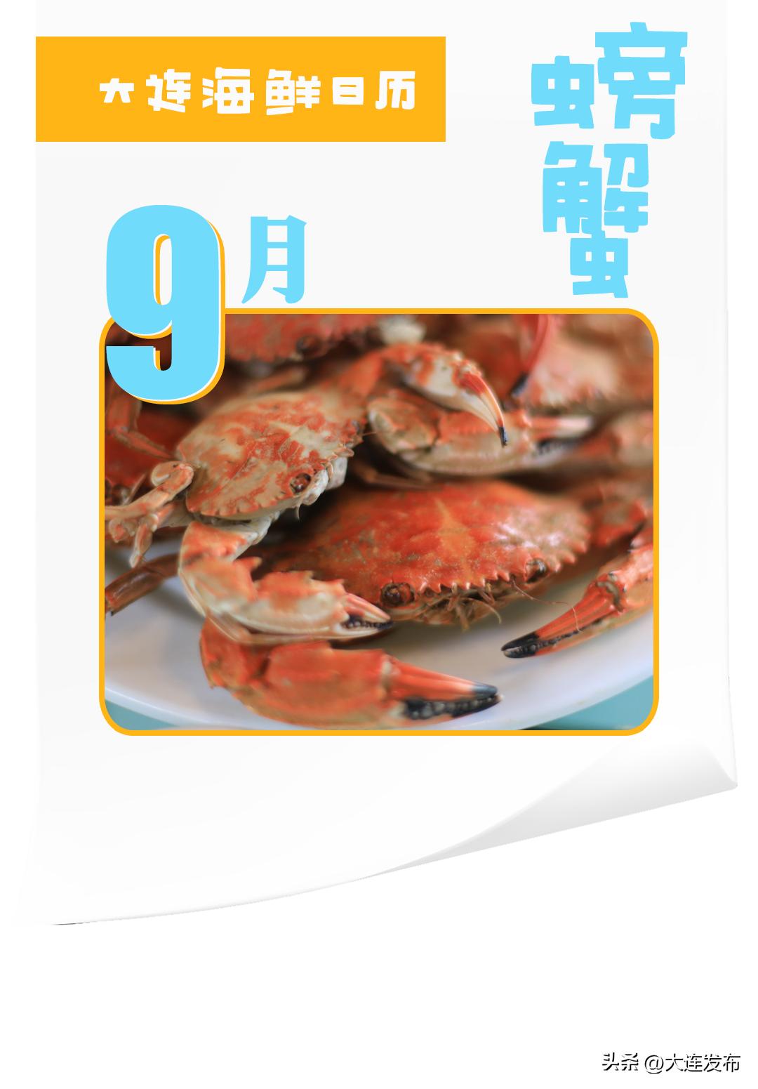 实现海鲜自由的秘诀,实现海鲜自由另一种说法