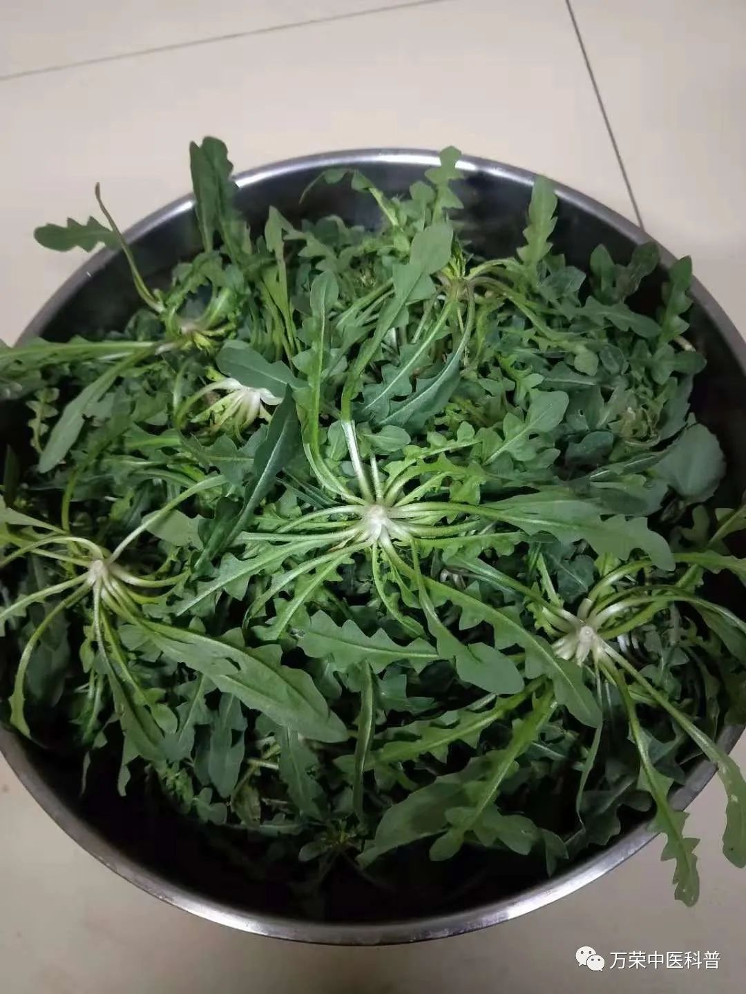 植物幼苗的发展过程详细,植物的幼苗在生长过程中