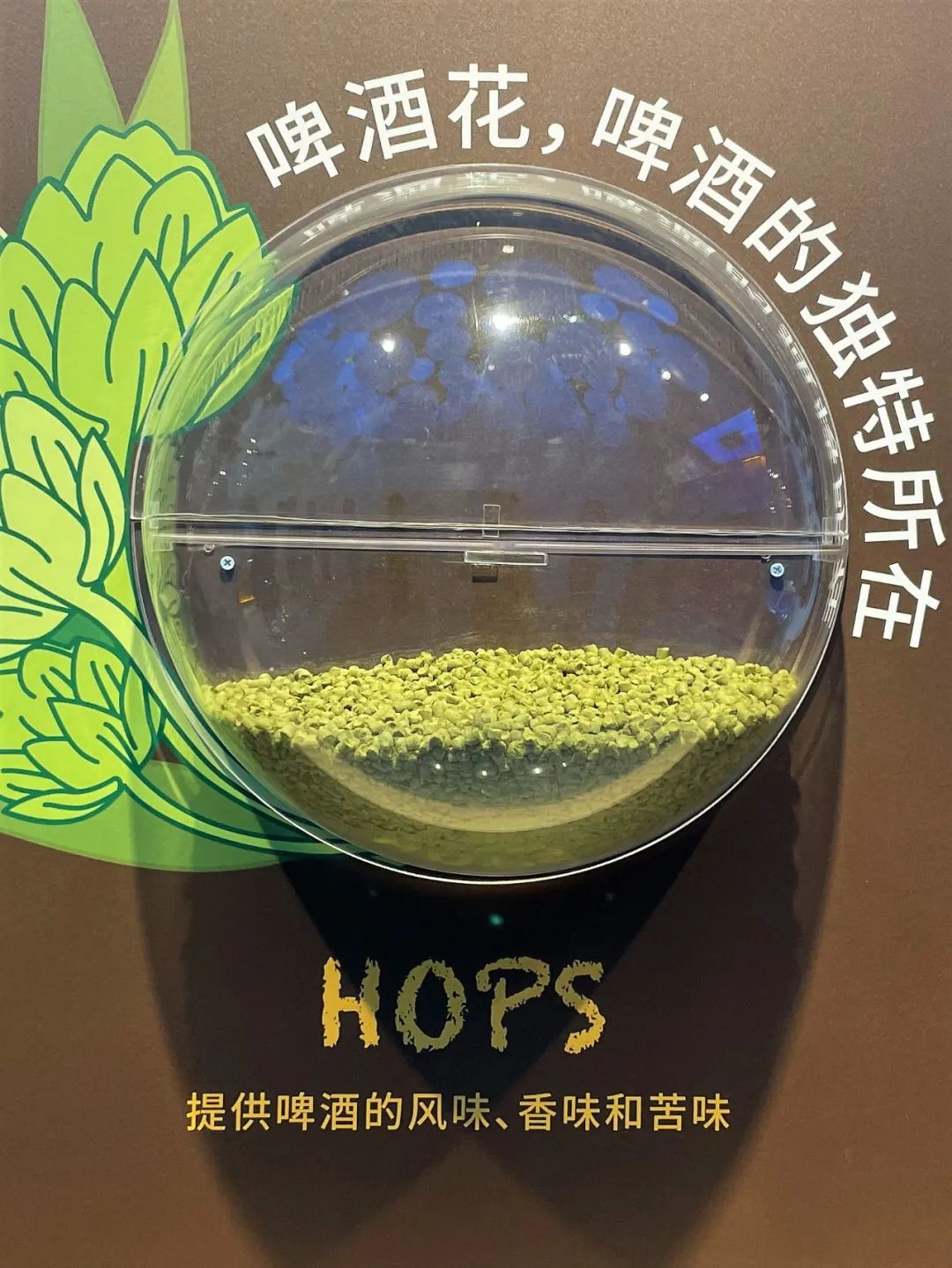 莆田雪津啤酒总代理,莆田百威啤酒厂有多大