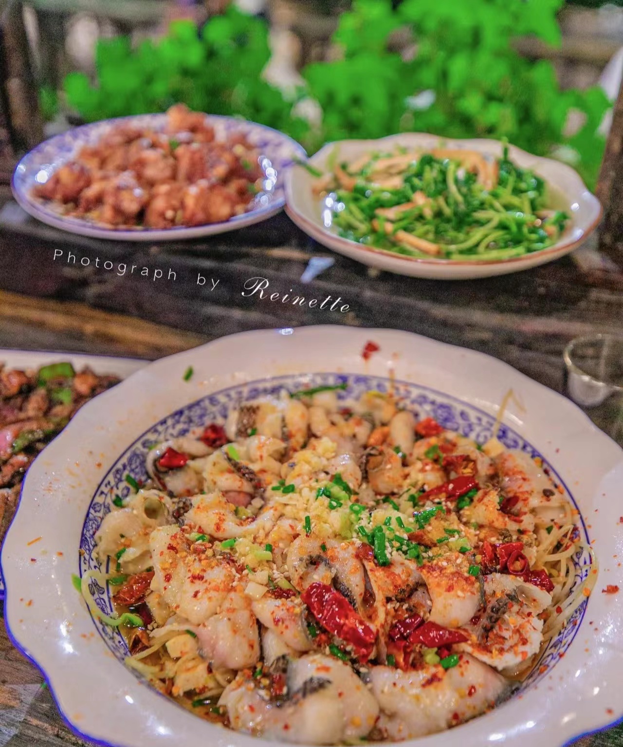 去乌镇旅游需要注意什么,去乌镇的注意事项