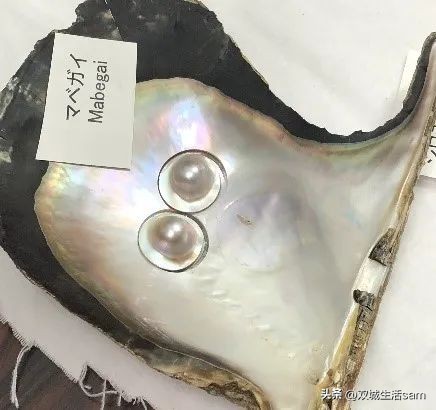 马贝珠珍珠,英国女王绿松石胸针