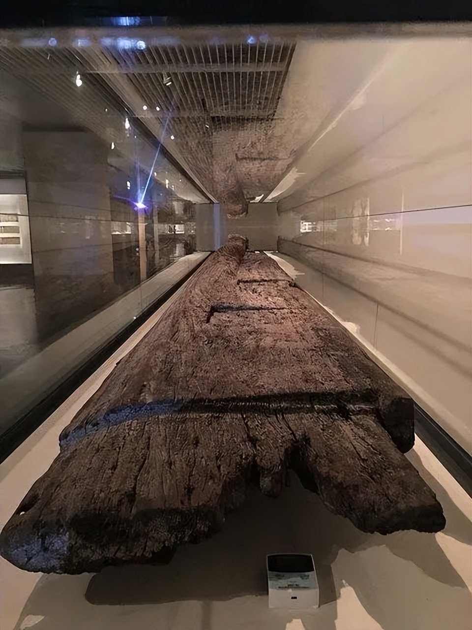 铁力木和铁刀木哪种做大门好,铁力木和铁刀木属于红木吗