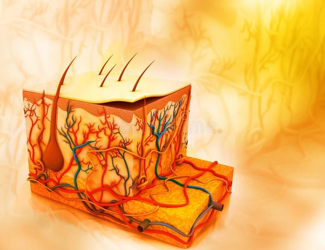 加快黑色素代谢的维生素,毛发黑色素少如何增加黑色素