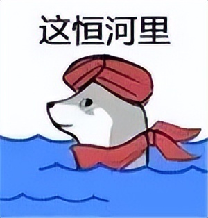 华硕与索尼是一样的牌子吗,索尼和华硕是一种型号嘛