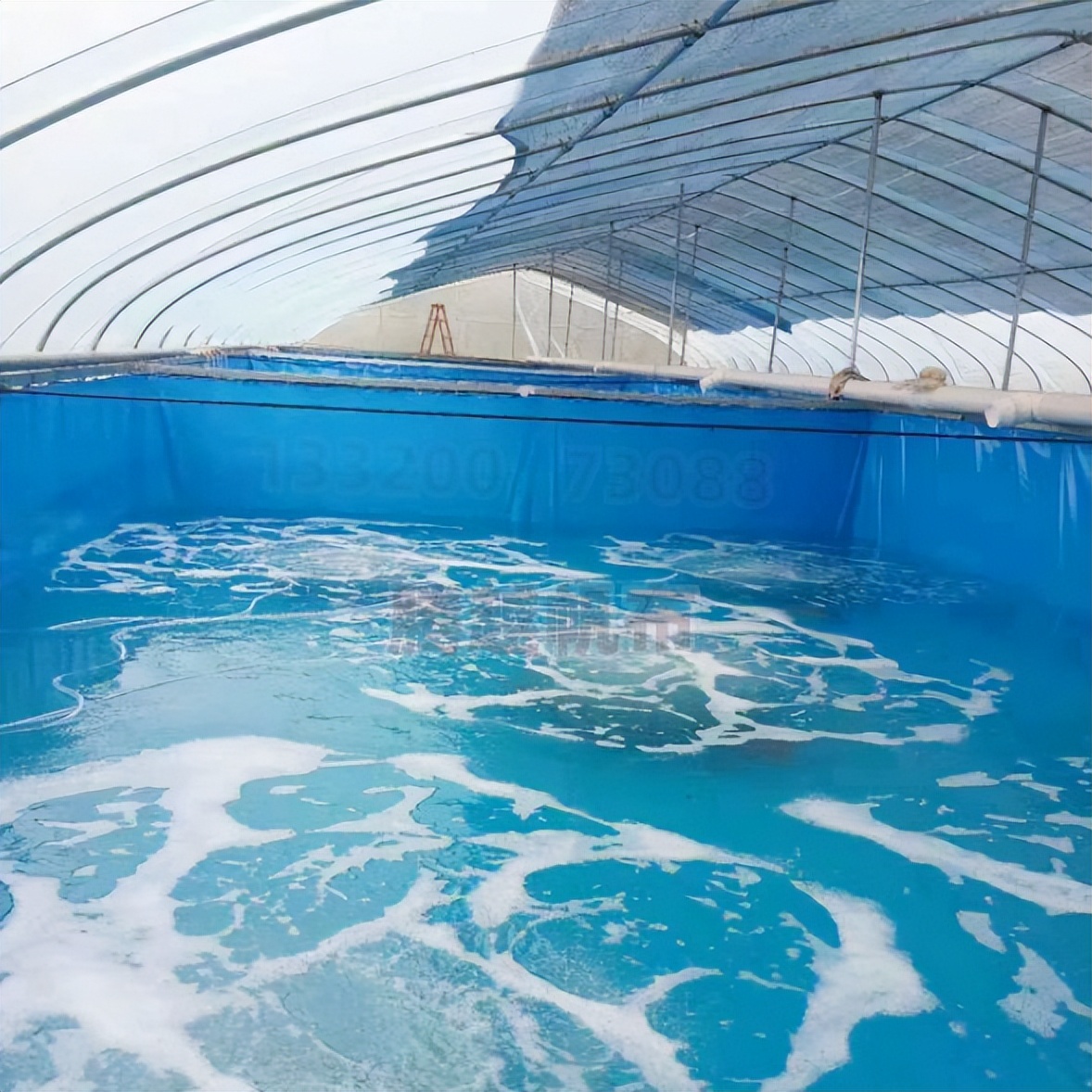 小龙虾养殖池塘咋样建比较好,大棚无土养殖小龙虾怎么养