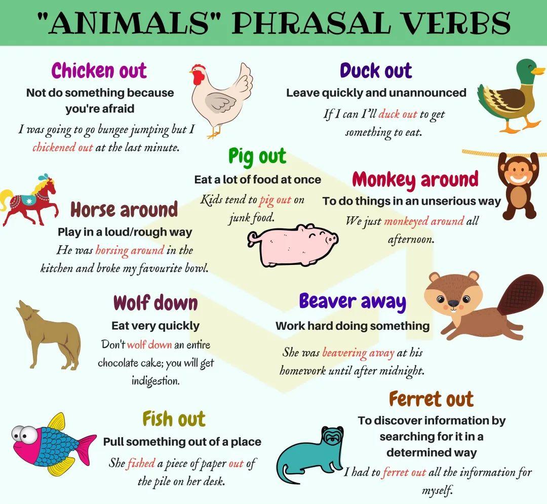 英语动词短语对应图画,英语动词表大全带图片