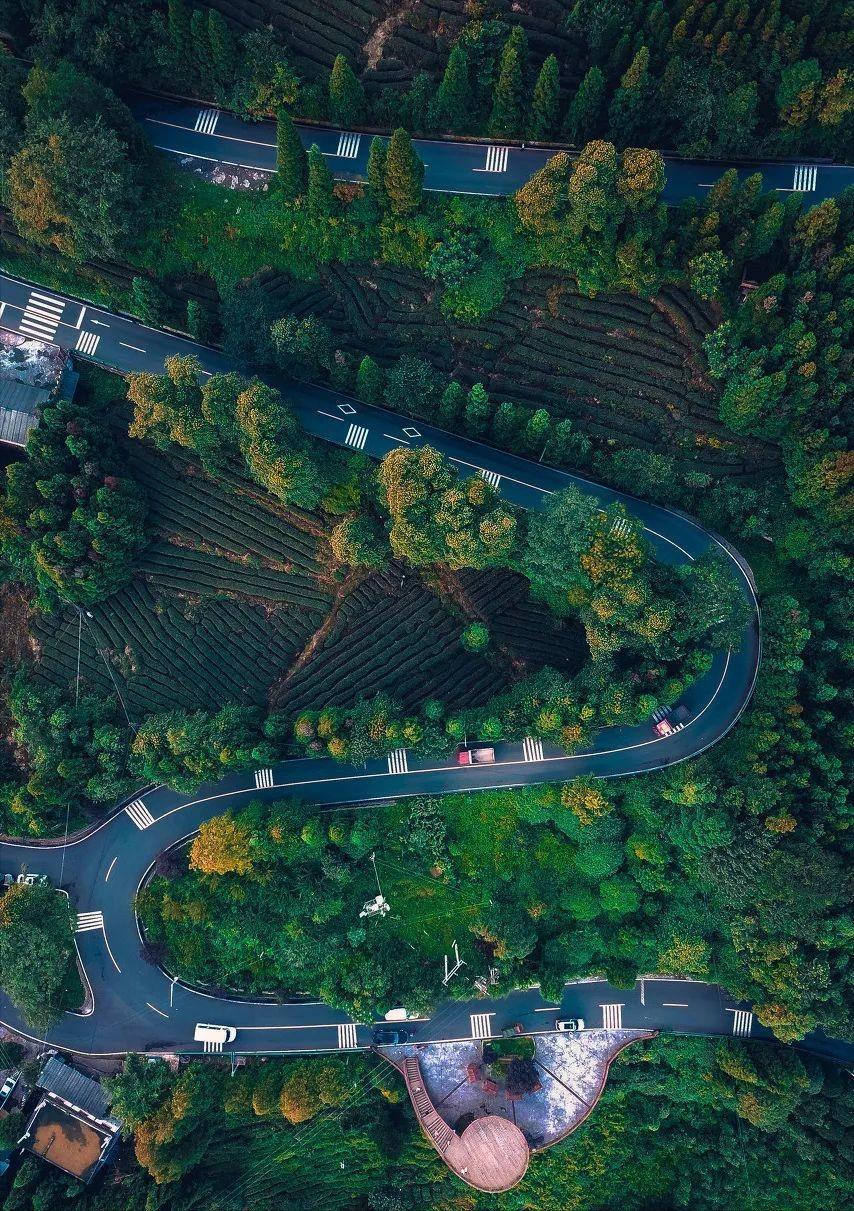何为绿茶音乐,何为绿茶什么意思