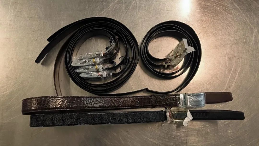 鳄梦岛电影全集解说,鳄梦是什么意思