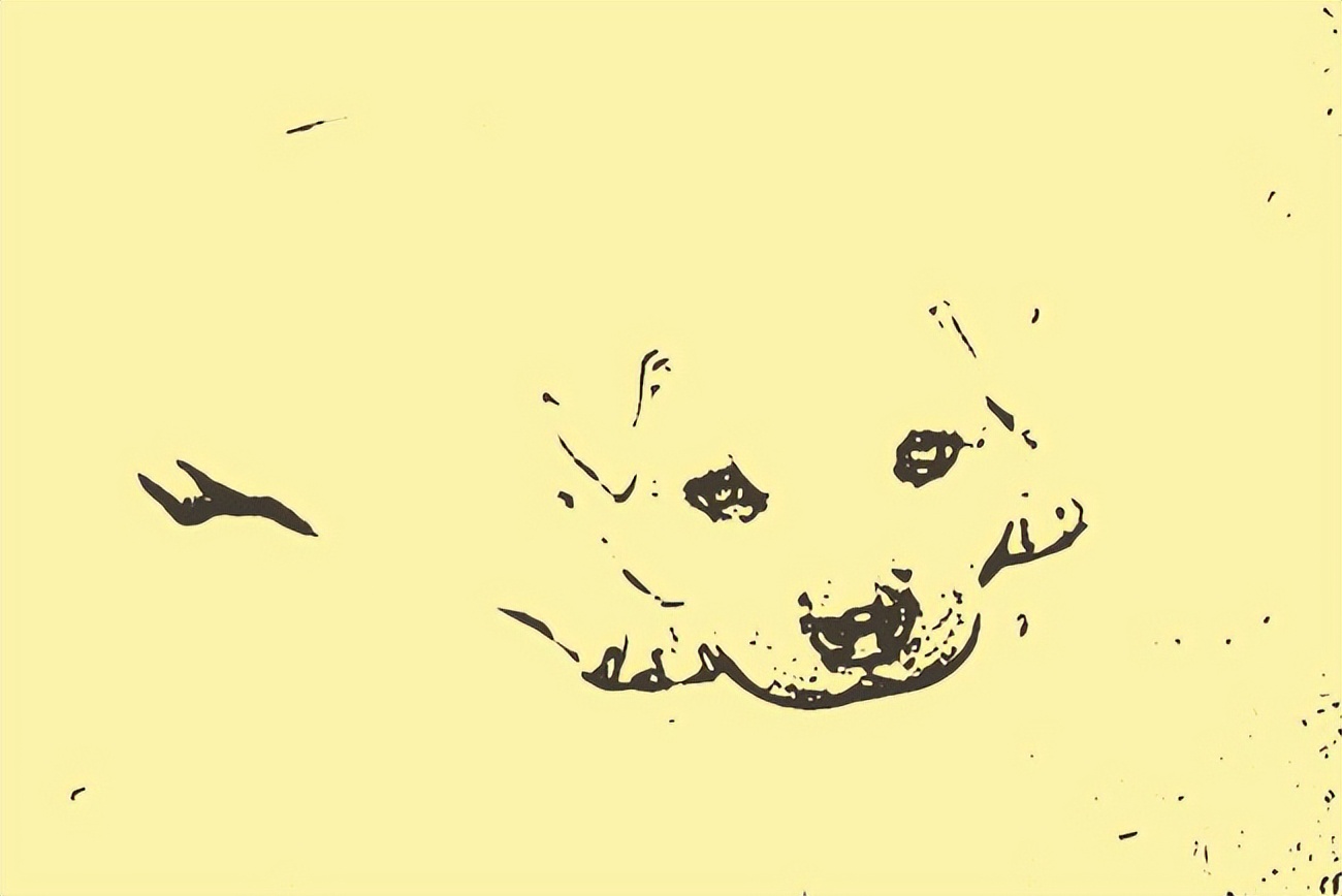 民间笑话中篇故事,笑话故事大全民间传说