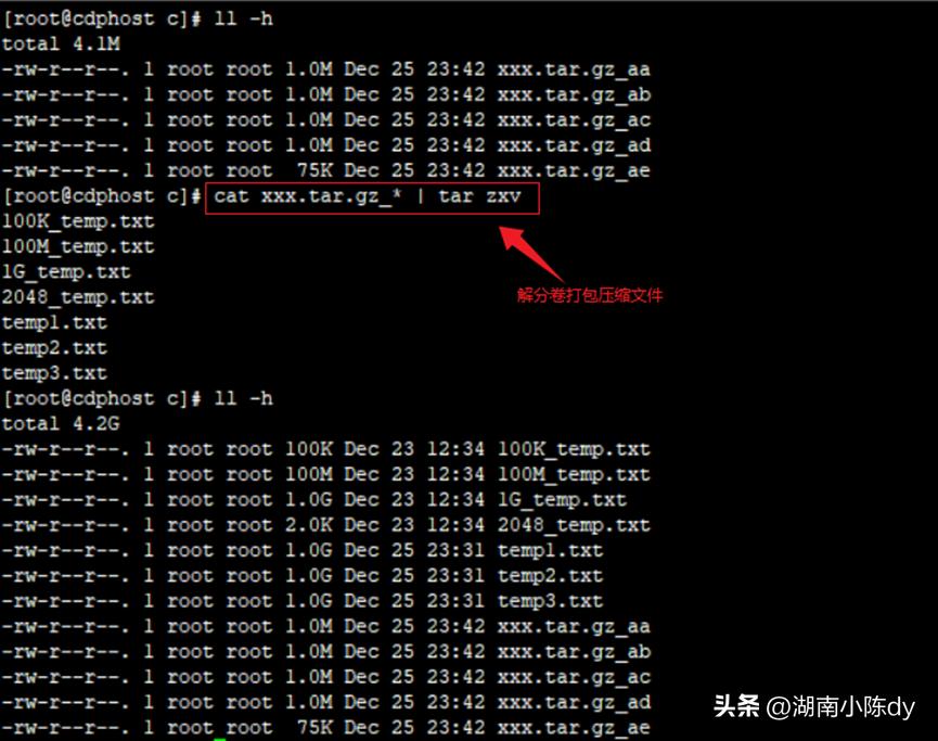 100个常用linux命令,linux常用监控命令详解