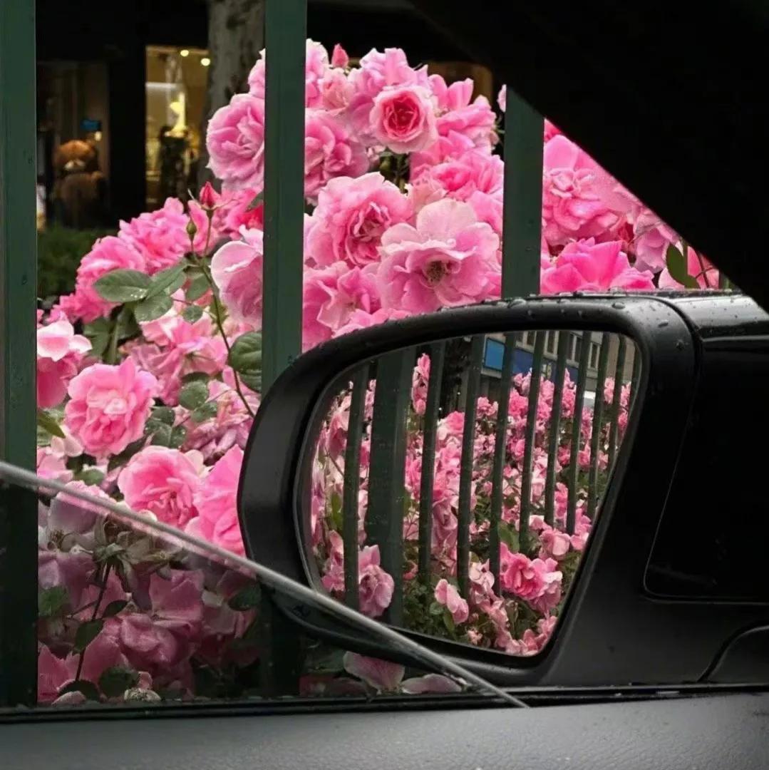 我投了简历为什么老是不面试,为什么投了那么多简历却没有面试