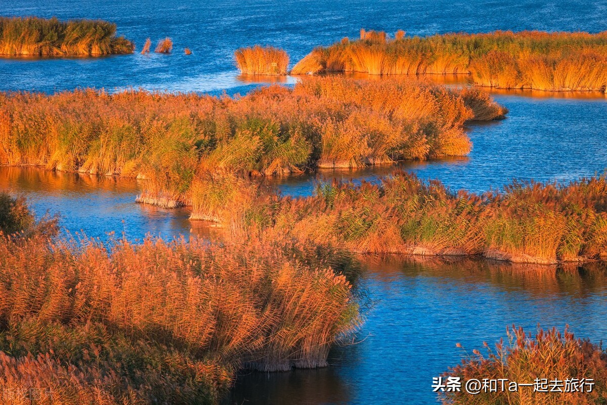 内蒙古巴彦淖尔市去哪玩比较好,巴彦淖尔值得去的地方