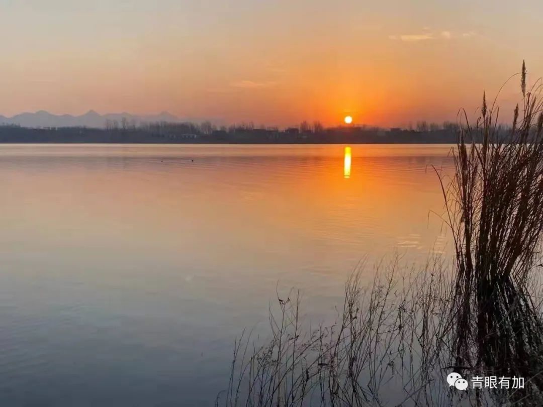 炖鸡蛋羹不熟这是为啥呢,未蒸熟的鸡蛋羹