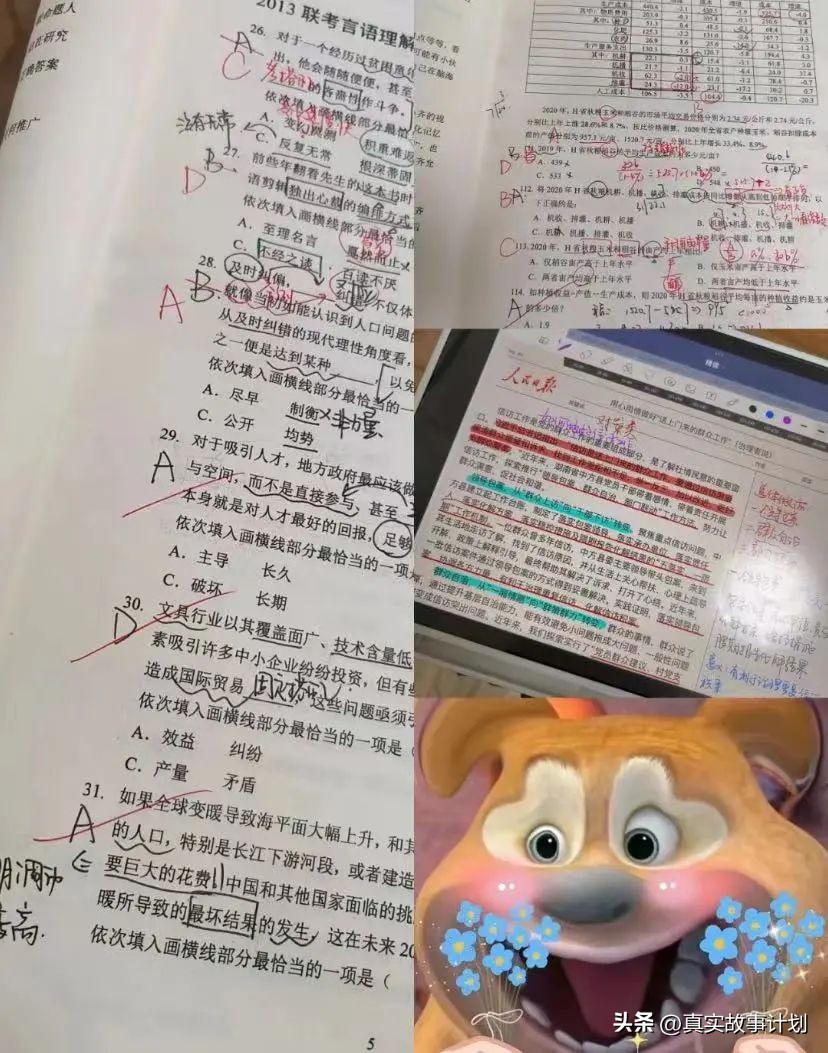 宝妈考公经验,宝妈考公共营养师