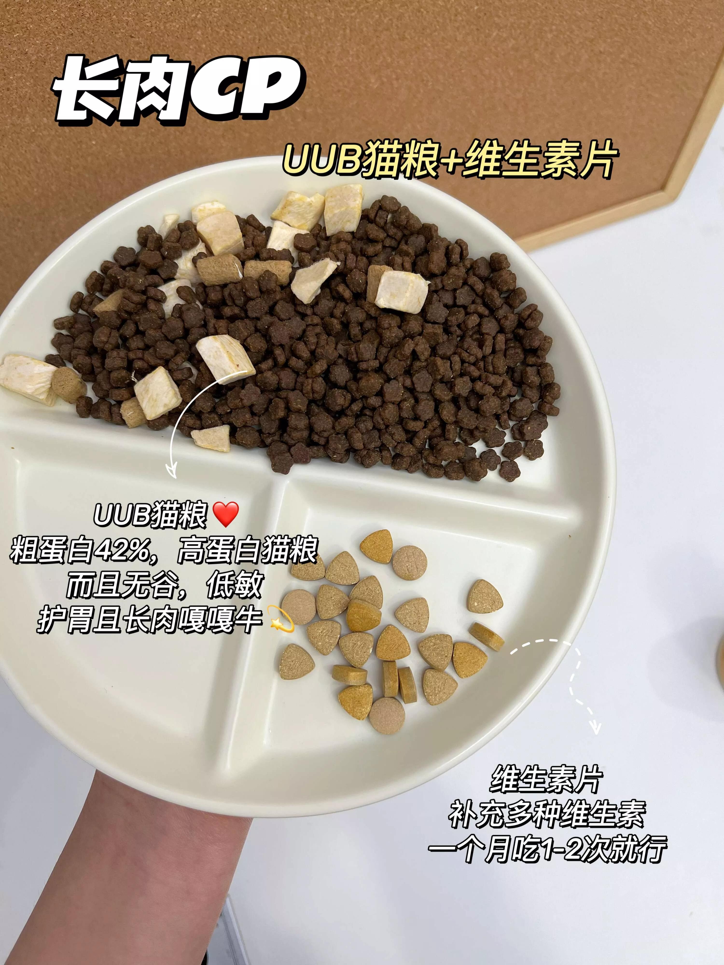 拒绝猫粮当主食,新手养猫指南猫粮应该怎么选