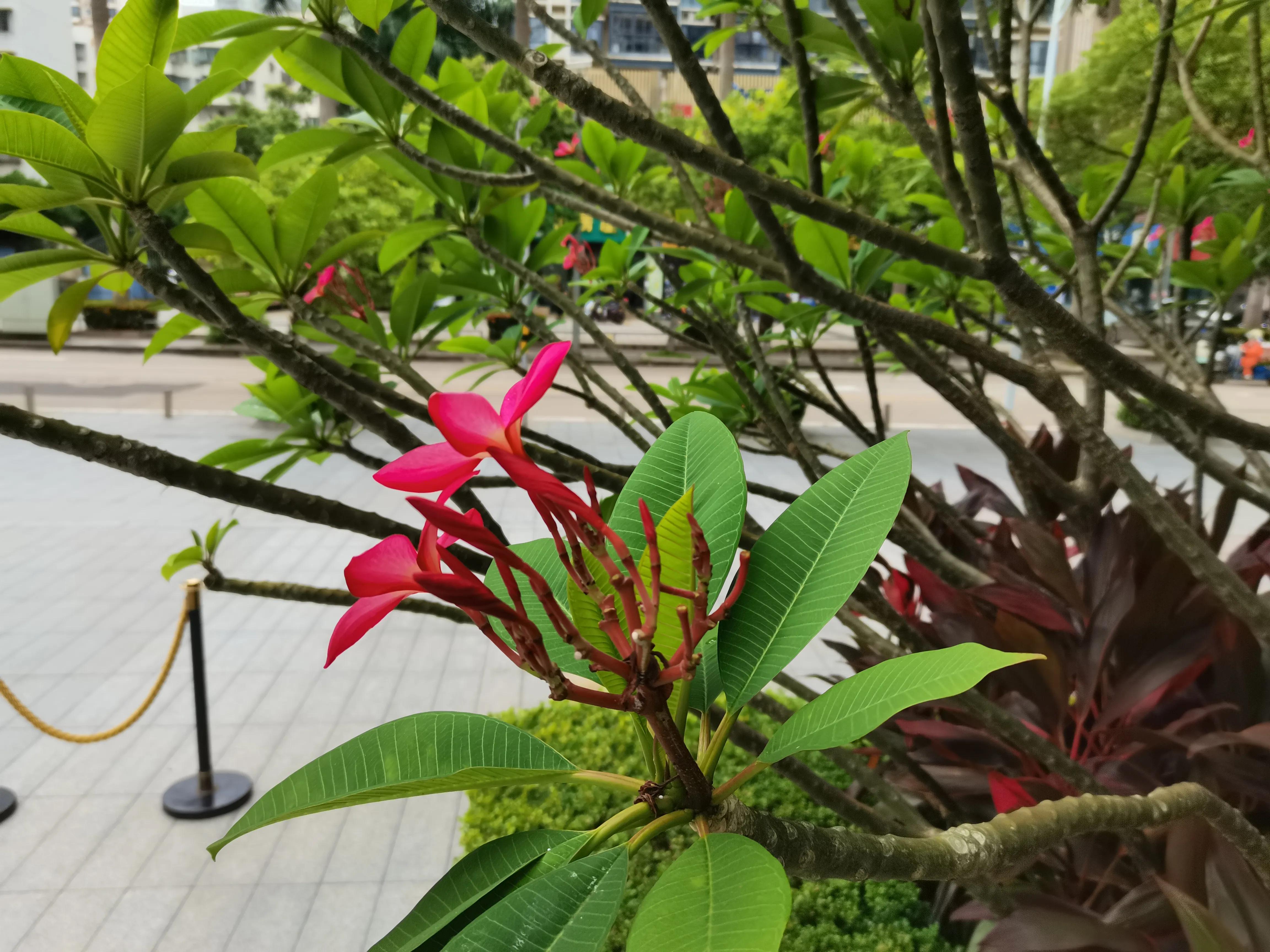 母校承载了多少学子的无限回忆,怀念母校16年后的感言