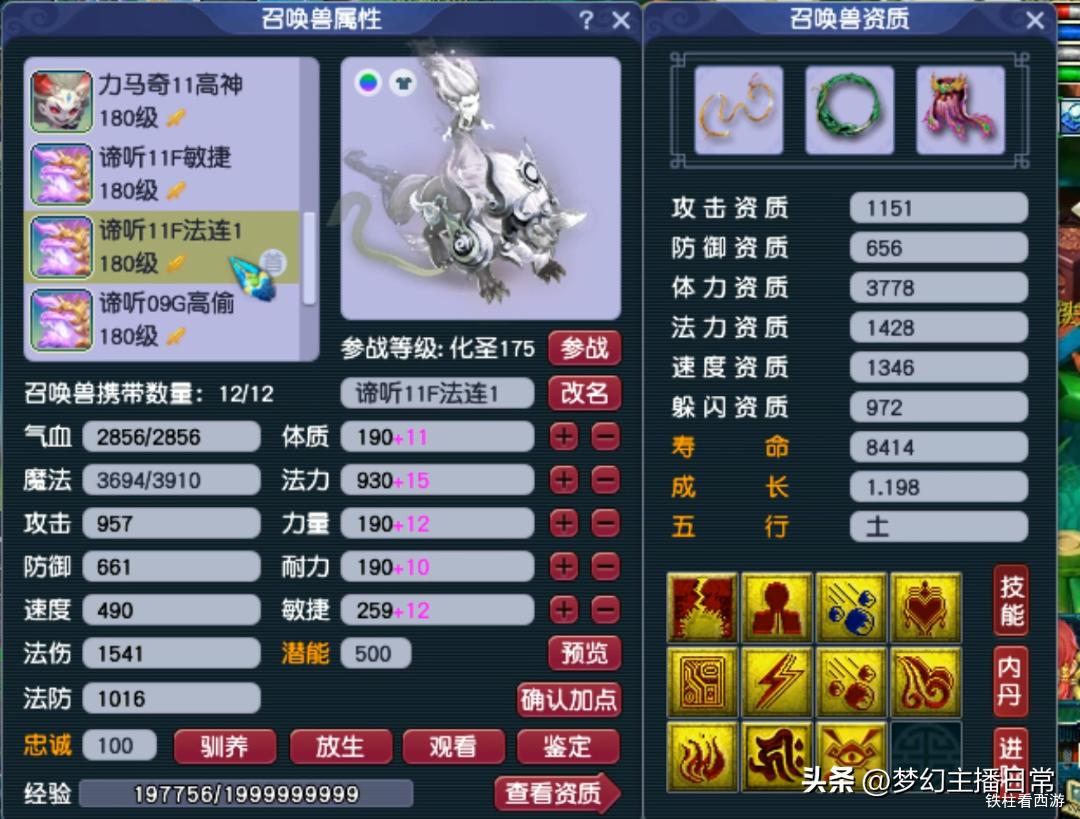 梦幻西游神木林龙宫,梦幻西游第一龙宫涛哥