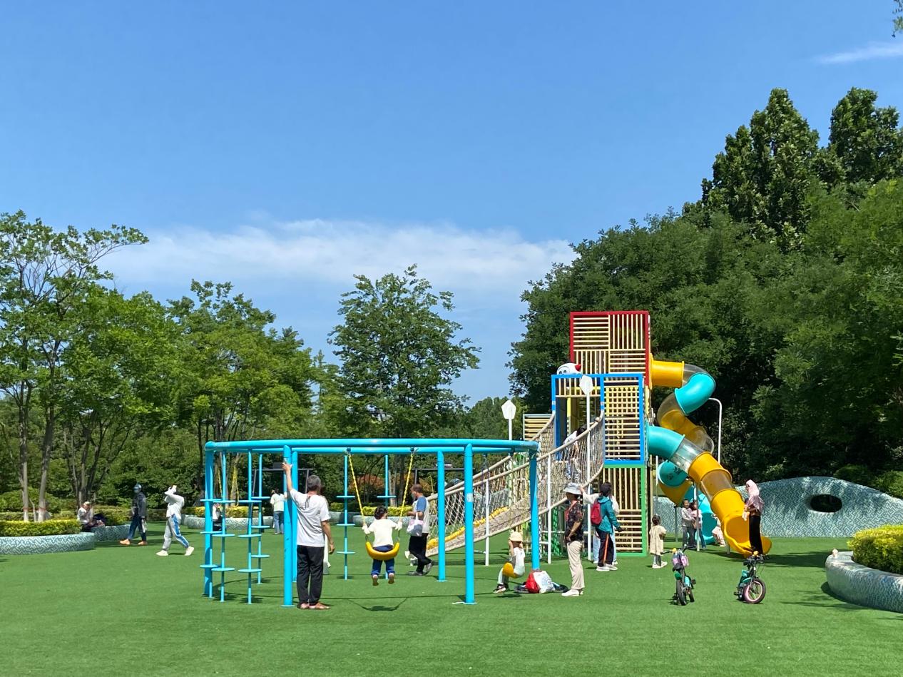 郑州这家公园的运动设施离不开体彩公益金助力