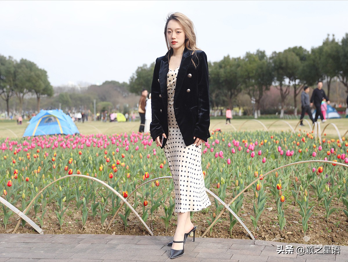 郁金香盛开的地方视频,郁金香盛开的地方原创完整版