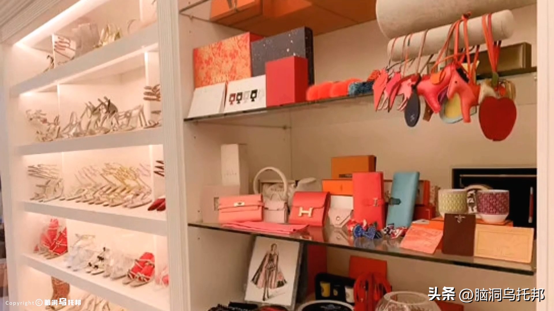 名媛碎尸案最新案情,名媛蔡天凤碎尸案细节视频