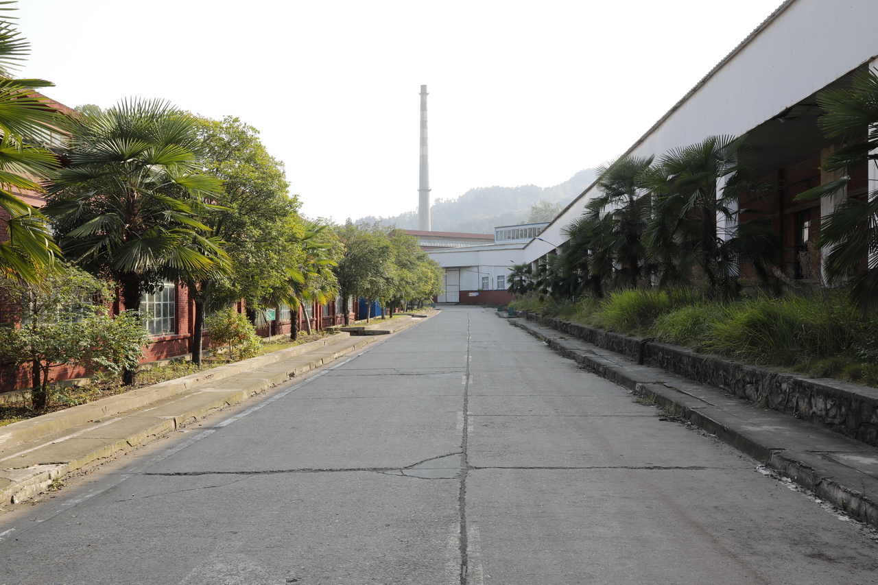 东风轮胎厂家,东风轮胎厂历史