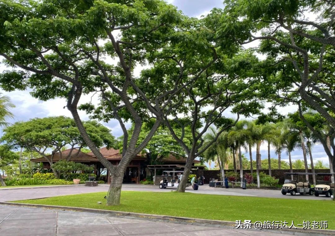 夏威夷的活火山喷发,夏威夷火山喷发大岛还能旅游吗