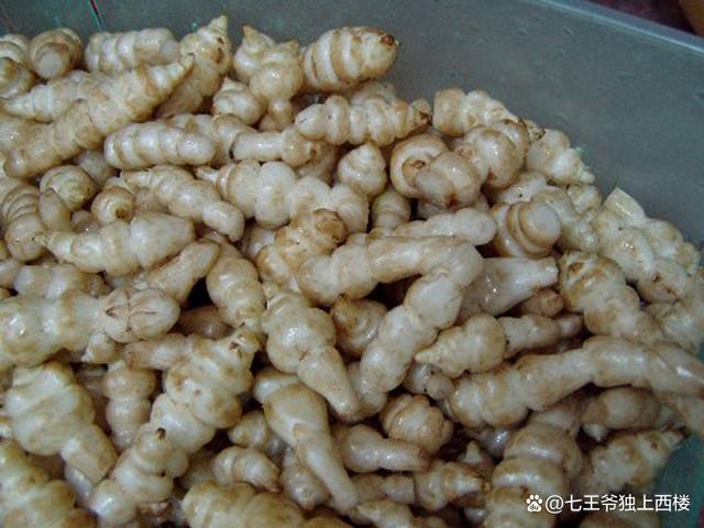 麻城腌制地藕教程,农家腌地藕