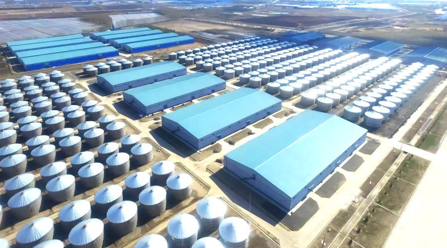 厦门象屿转型,厦门象屿到底是一家什么公司